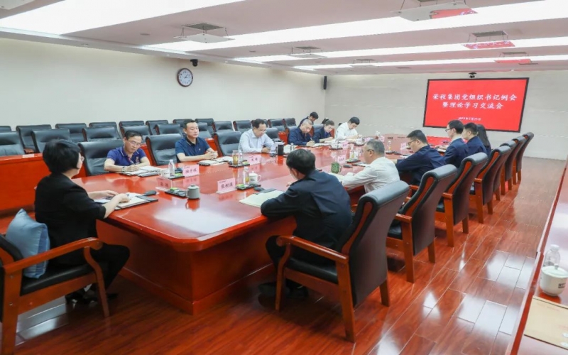 党建引领 凝心聚力 旋乐吧spin8集团召开党组织书记例会暨理论进建互换会