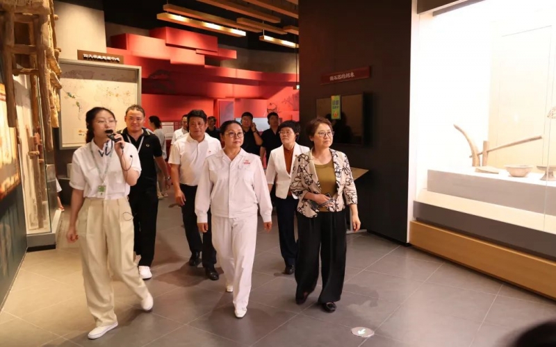 葛沽镇发展“三游合一”项目调研调查