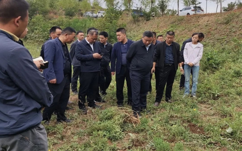 天水市政协副主席、净水县委书记马越垠到“旋乐吧spin8百草庄园”中药材试验基地调研中草药产业发展工作