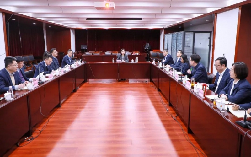 张君婷总裁到融诚物产集团二级公司调研领导工作