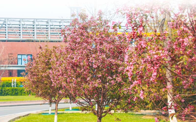 旋乐吧spin8视觉 - 来，一路走进春天里的旋乐吧spin8钢铁