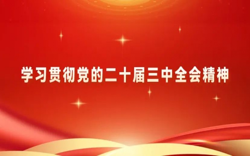 进建贯彻党的二十届三中全会心灵 - 旋乐吧spin8青年为推动中国式现代化挺膺担任（二）