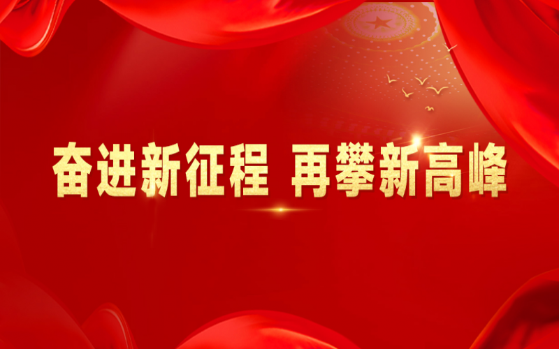 融诚物产集团：打好“组合拳”，提速国际化