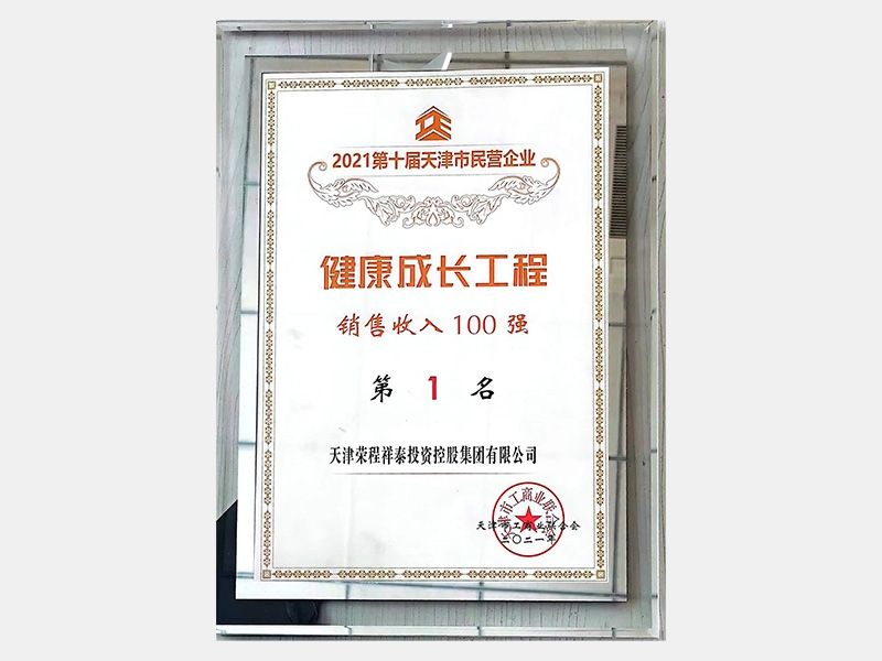 2021第十届天津市民营企业健全成长工程销售收入100强第一名